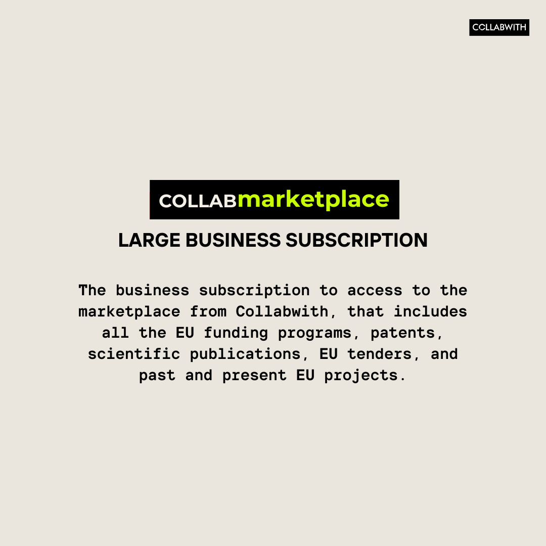 Large Businesses Marketplace Subscription